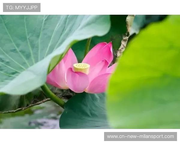 梁馨枰爆料人生真相：做人就该像旷野一样自由！